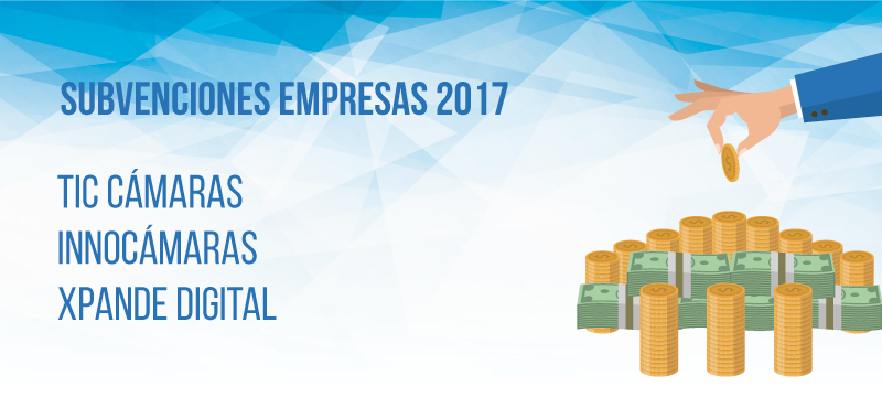 subvenciones