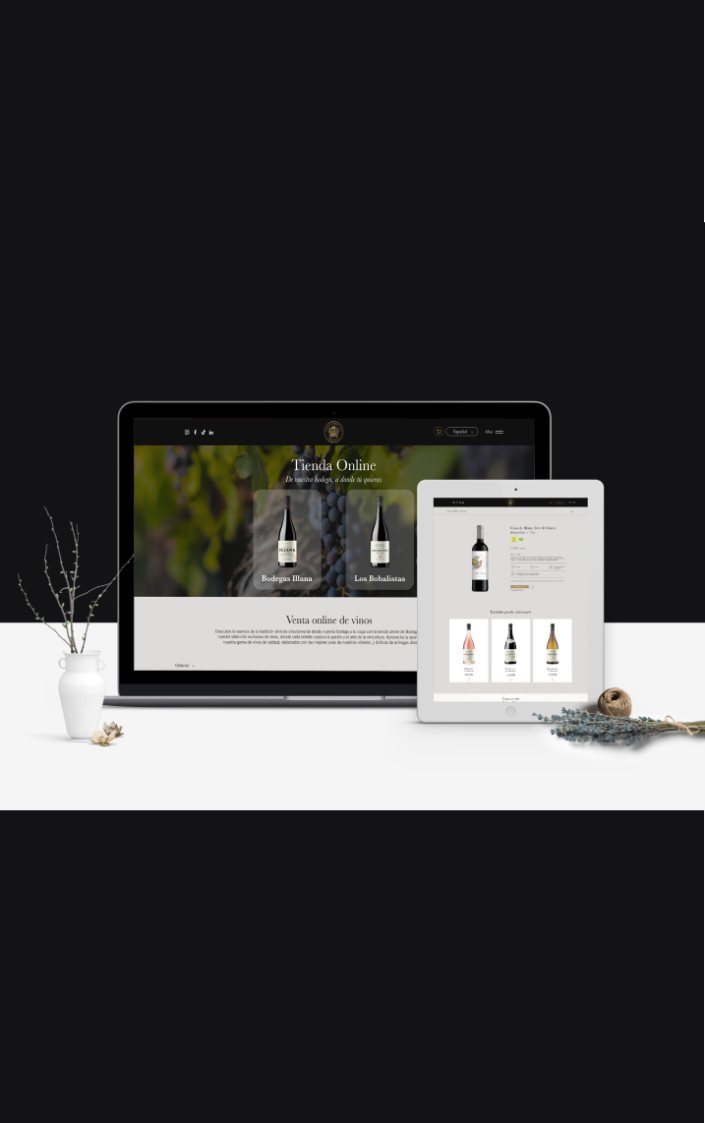 Mockup Web Bodegas Illana