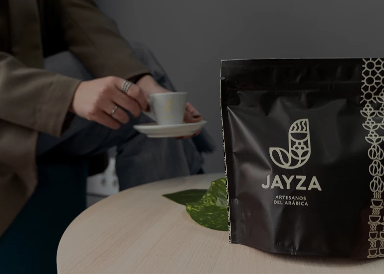proyecto jayza synergy