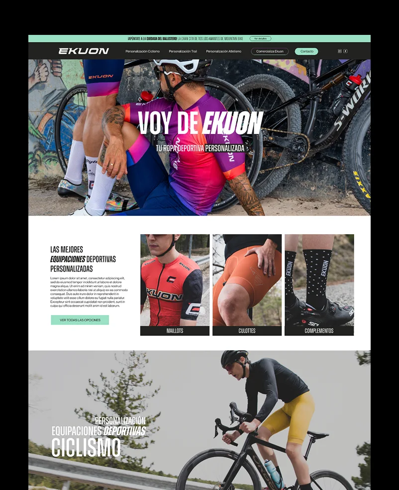 diseno desarrollo web