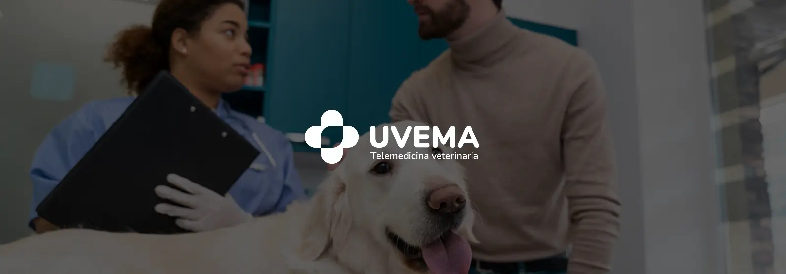 cabecera uvema